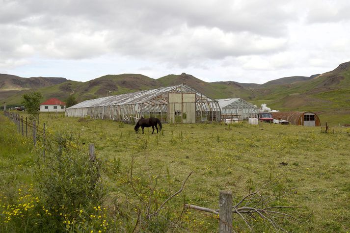 Mörg gróðurhús í Hveragerði eru í niðurníðslu.