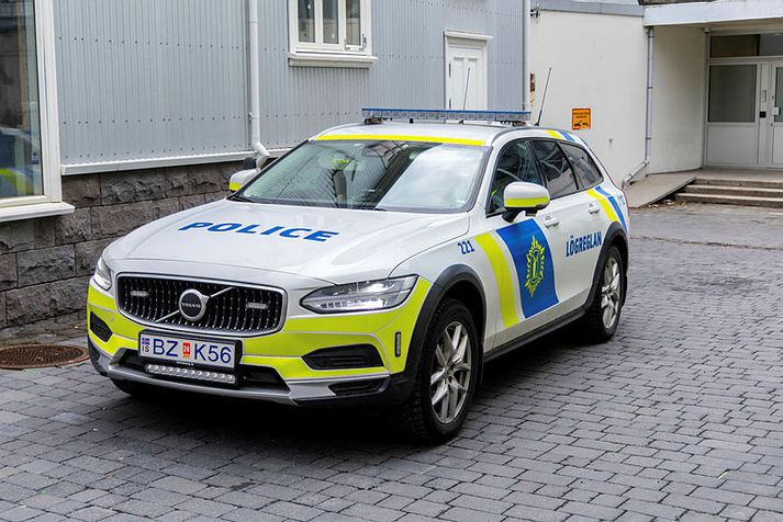 Konan var leidd fyrir dómara í Héraðsdómi Reykjavíkur í hádeginu í dag þar sem krafa um gæsluvarðhald var samþykkt.