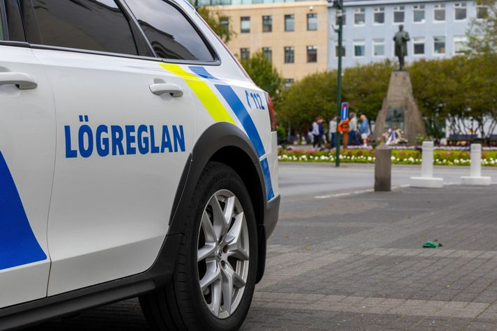Ein árásin sem málið varðar átti sér stað á Austurvelli.