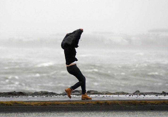 Stormur og hríð verður í höfuðborginni í dag.