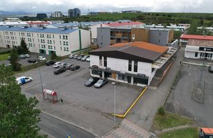 Fréttamynd