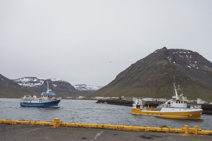 Frá Bolungarvík en fjallið Ernir er hægra megin á myndinni sem sýnir frá björgunaraðgerð í Bolungarvíkurhöfn.