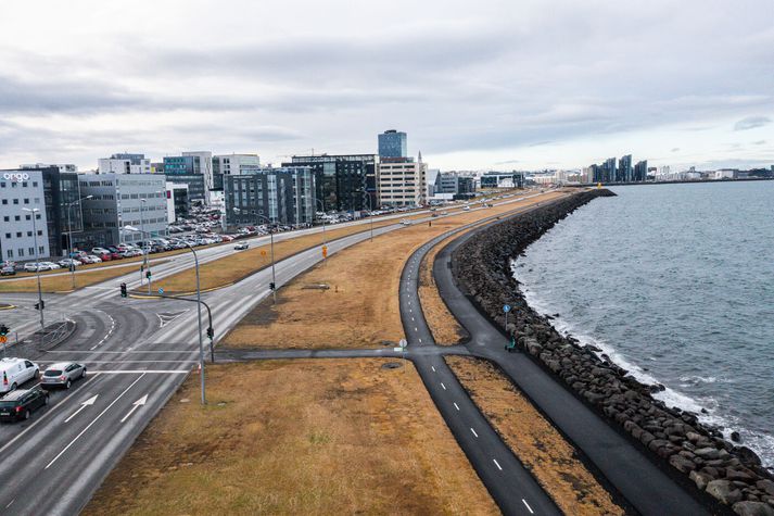Mæðginin höfðu verið í göngutúr meðfram sjónum og héldu svo yfir gangbrautina yfir Sæbraut við Kringlumýrarbraut.