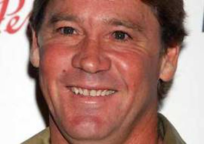 Steve Irwin heitinn