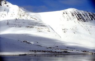 Fréttamynd