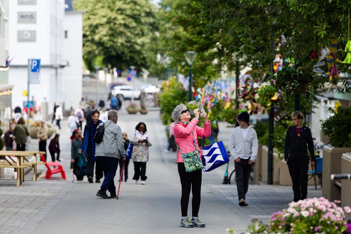 Kjósendur eru klofnir í afstöðu sinni til mögulegra viðræðna við ESB. Mynd er úr safni. 