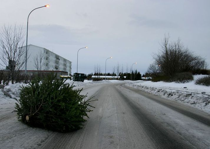 Sveitarfélögin biðja fólk að koma jólatrjánum þannig fyrir að þau fjúki ekki.