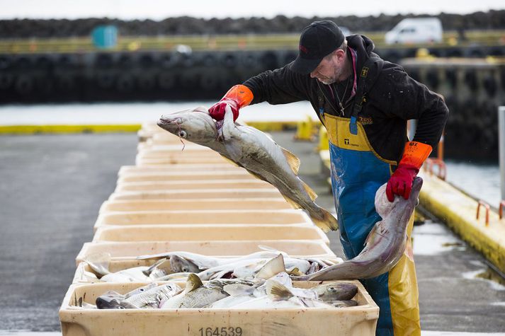 Aflaverðmæti íslenskra skipa á öllum veiðisvæðum nam 133 milljörðum króna á síðasta ári.