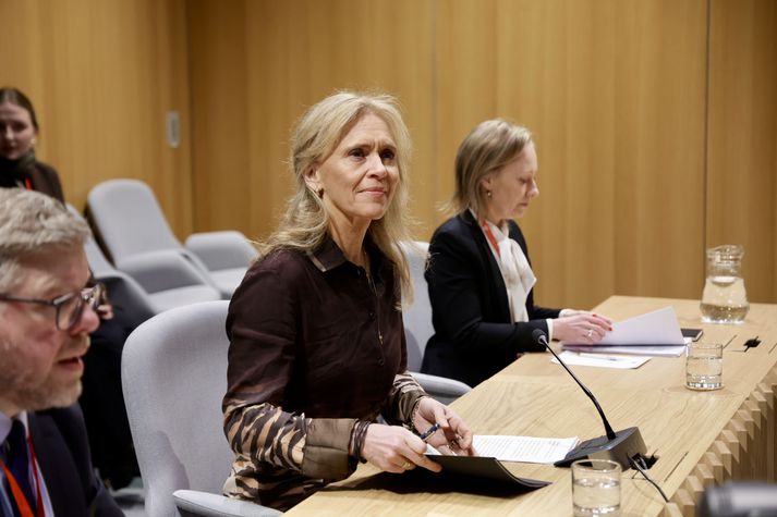 Þorgerður Katrín Gunnarsdóttir er gestur nefndarinnar.