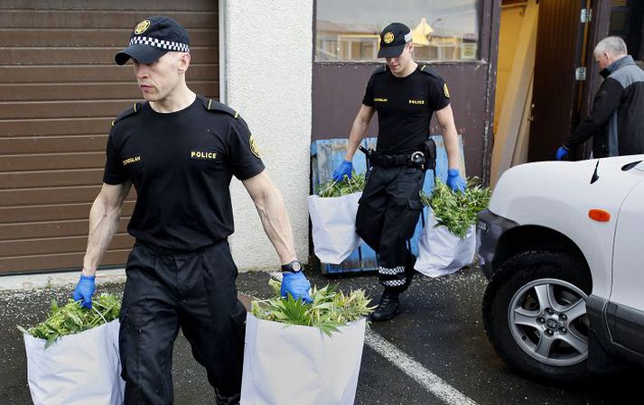 Lögreglan kom á tímabili upp um nokkurn fjölda stórra kannabisræktana. Nú virðast þeir sem skipuleggja ræktunina vilja fleiri en smærri ræktanir svo það geri minna til þó lögreglan finni einhverjar.