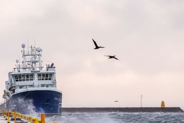 Í hugleiðingum veðurfræðings segir að á morgun fari ný lægð til norðausturs fyrir vestan land, en hún sé mun vægari.