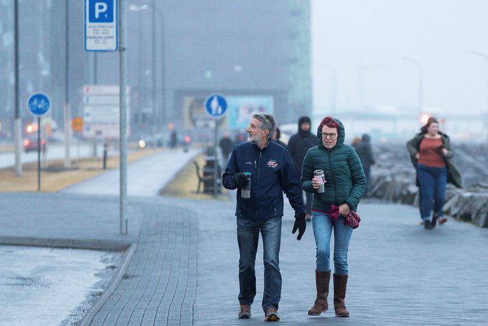 Það er útlit fyrir haustlegt veður á höfuðborgarsvæðinu í dag.