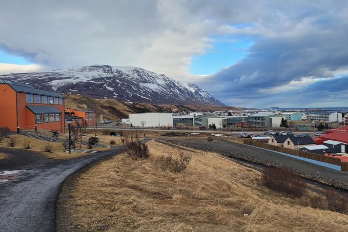 Þrír drengjanna eru nemendur við Fjölbrautarskóla Norðurlands vestra sem er á Sauðárkróki.