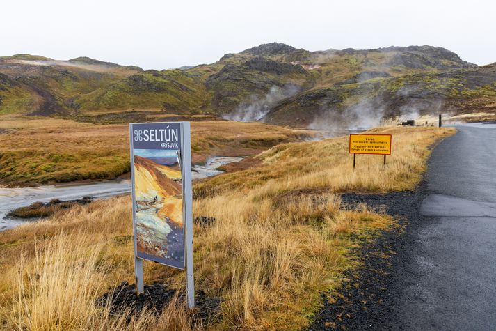 Veðurstofan varar við óþarfa ferðum um bjargbrún Krýsuvíkurbjargs þegar jarðhræringar eru. Myndin er ekki af Krýsuvíkurbjargi.