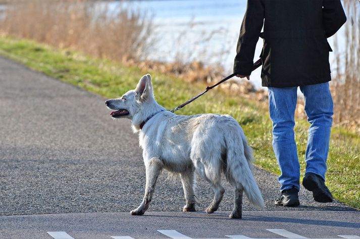 Lögregla gaf út 750 sektir vegna sóttvarnabrota síðustu helgi.