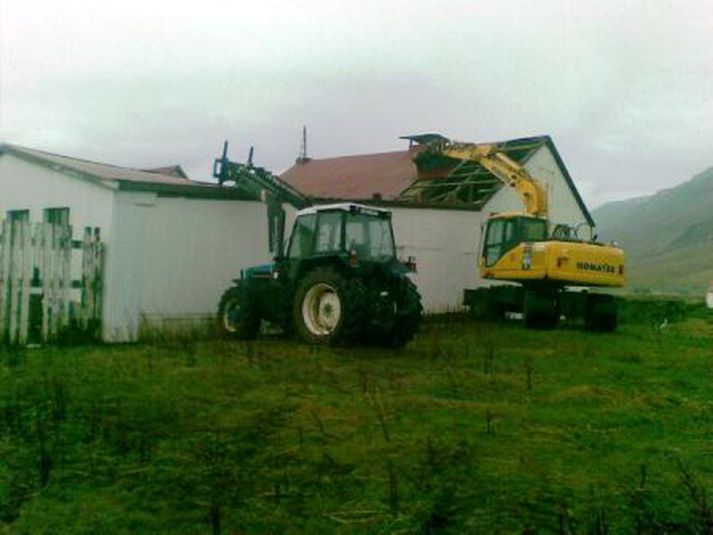 Móar, kjúklingabú. Mynd/Egill.