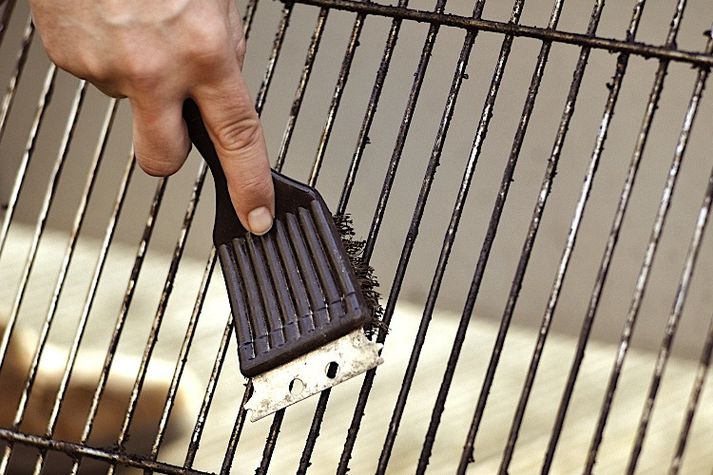 Grillbursti