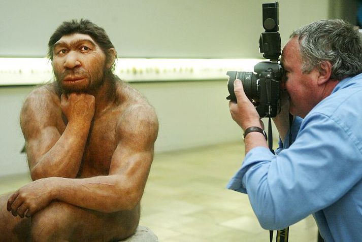 Neanderdalsmaður Of stór hluti heilastarfseminnar fór í sjónina.