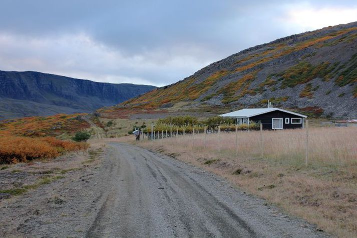 Hreinn Haraldsson vegamálastjóri telur eðlilegt að kæra úrskurð Skipulagsstofnunar vegna veglínunnar.