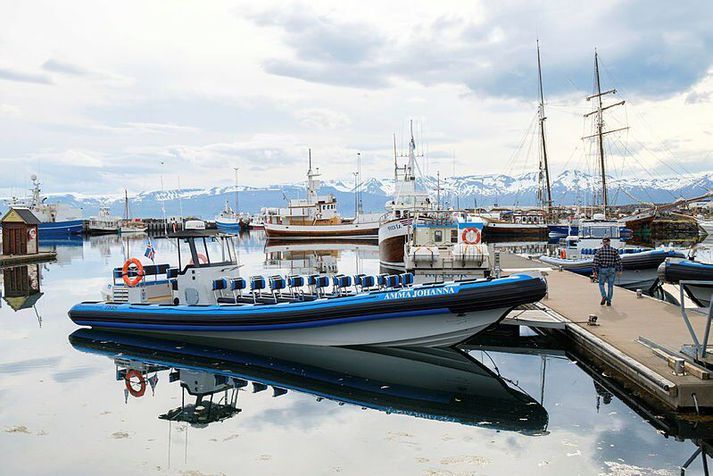 Amma Jóhanna er einn hvalaskoðanabáta Gentle giants á Húsavík.