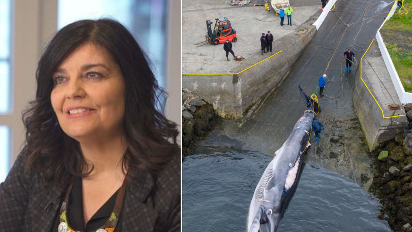 Hug­myndin góð enda hval­kjöt mun járnríkara en nauta­kjöt