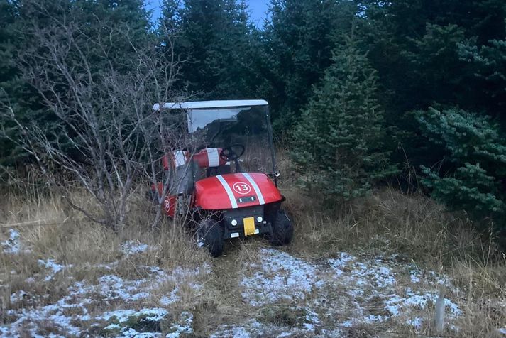 Skolli er fundinn og golfsumari Sigga Sveins því bjargað.