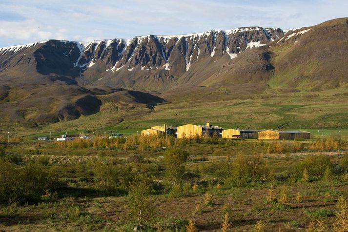 Atvikið truflaði kennslustund, að sögn kennara. Hótel Tjarnir er starfrækt í gula húsinu lengst til hægri á myndinni. Í hinum gulu húsunum er Stórutjarnarskóli.