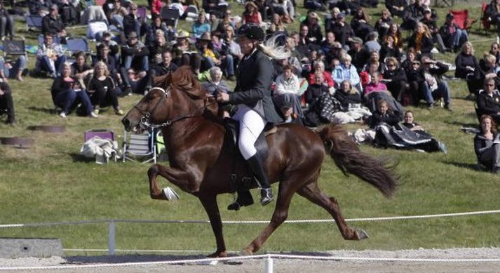 Hulda Kolbeinsdóttir og Nemi frá Grafarkoti fengu 8,49 í einkunn.