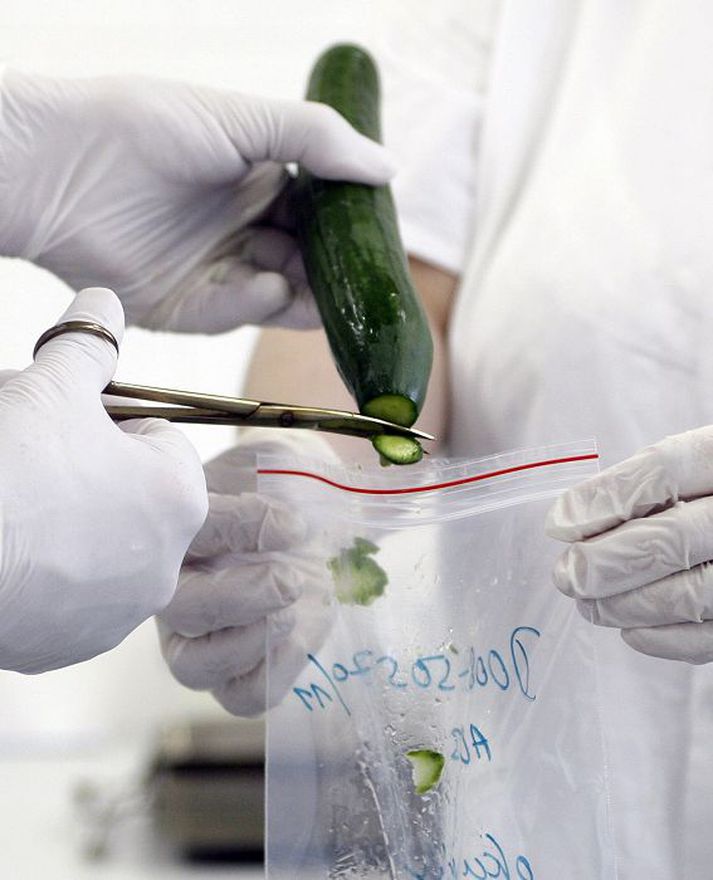 Víða í Evrópu er sýkt grænmeti til rannsóknar en vísindamönnum hefur ekki tekist að greina orsakir faraldursins.Fréttablaðið/AP