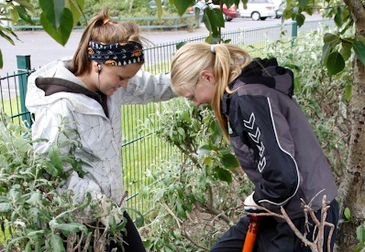 Ánægðar stúlkur að moka í moldarbeði.