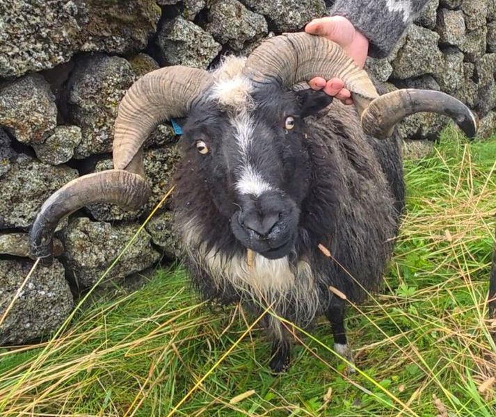 Hér er Höfði sjálfur.