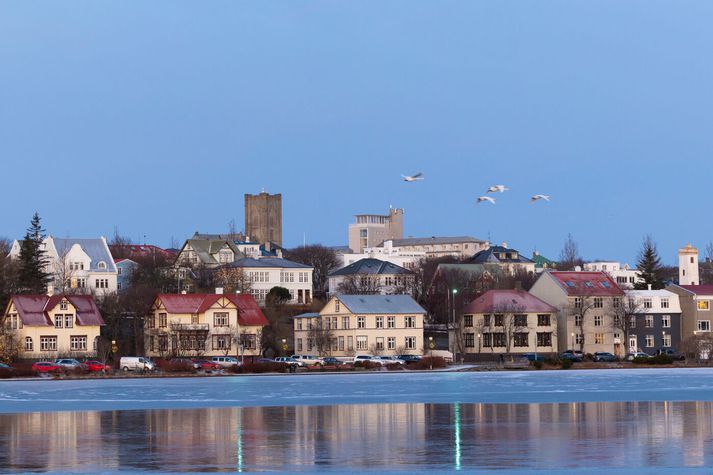 Árásin átti sér stað í miðbæ Reykjavíkur.