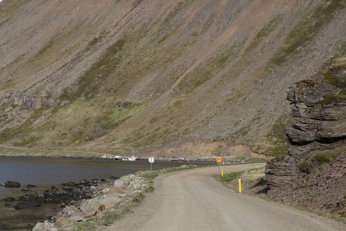 Grjóthrun á vegi er algengt um alla Vestfirði, þar sem malarvegir milli byggðarlaga liggja oft undir hömrum eða eftir bröttum fjallshlíðum.