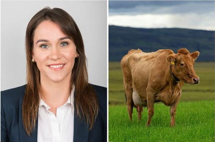 Margrét Gísladóttir er framkvæmdastjóri Samtaka fyrirtækja í landbúnaði.