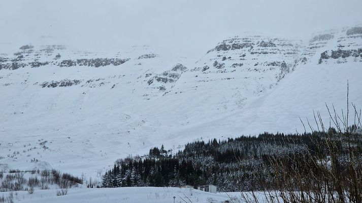 Snjóflóð sem féll í Norðfirði.