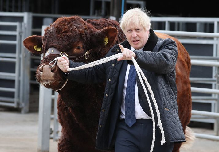 Eftir hasarinn í þinginu skrapp Johnson til Skotlands þar sem hann kynnti sér landbúnað.