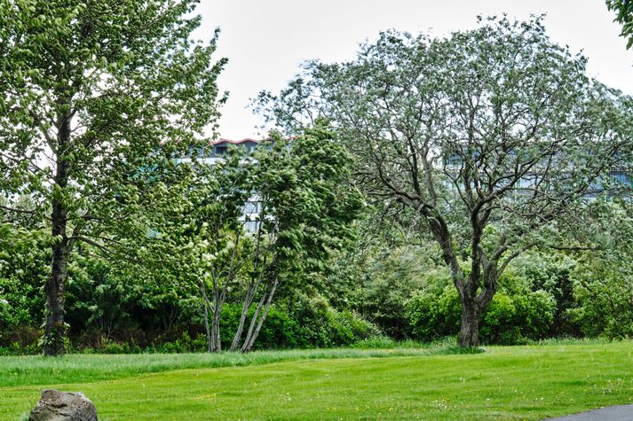 Brot mannsins er sagt hafa verið framið milli trjáa við göngustíg.