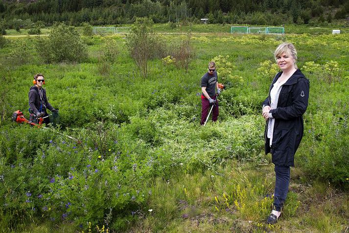 Aldís Hafsteinsdóttir bæjarstjóri kom við hjá þeim Viktori Gissurarsyni og Vilhjálmi Ólasyni sem voru í gær að slá lúpínu nærri Hamarsvelli