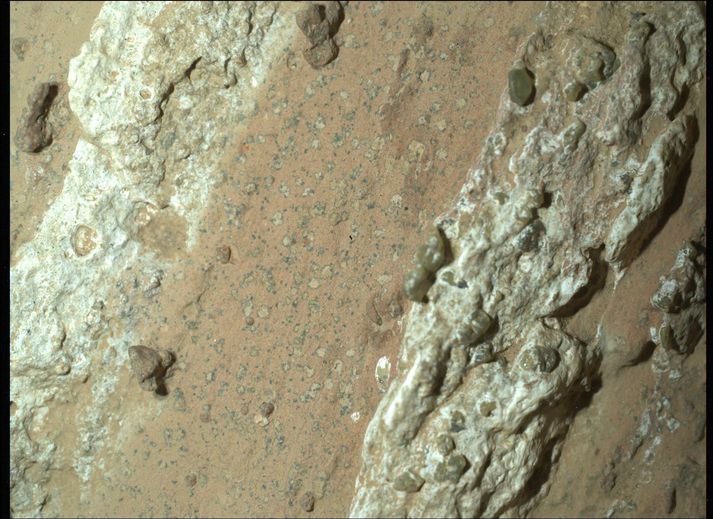 Ljósir flekkir í Cheyava-fossa steininum frá Mars eru lífræn efnasambönd en óvíst er hvort að uppruni þeirra er líffræðilegur eða ekki.
