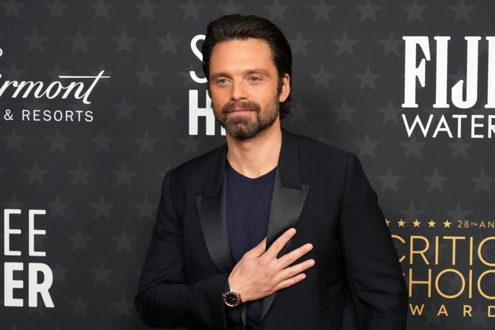 Sebastian Stan lék meðal annars Tommy Lee í sjónvarpsþáttaröðinni Pam and Tommy. 