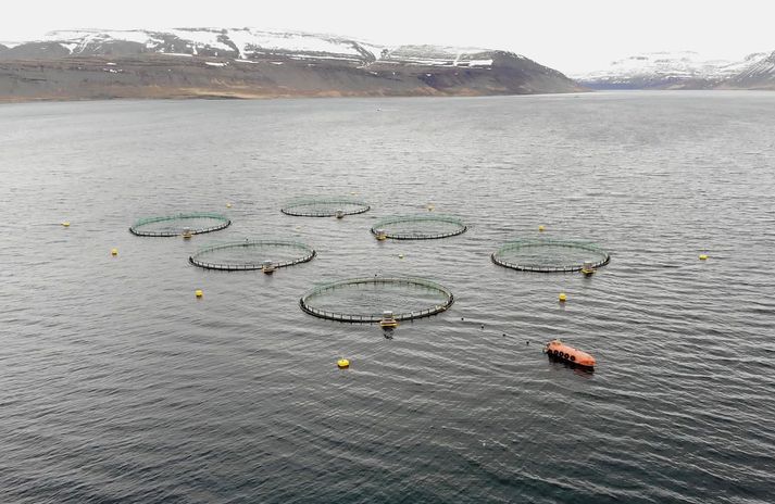 Þeir hjá Landssambandi veiðifélaga telja leynd um lögfræðiálit SFS til marks um að óeðliega sé að málum staðið hjá atvinnuveganefnd í því sem snýr að frumvarpi um fiskeldi.