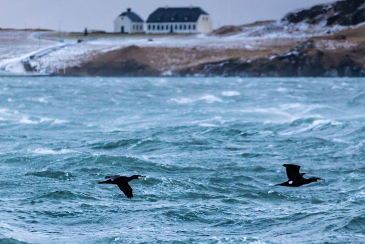 Óveðri er spáð í Reykjavík og á landinu öllu.