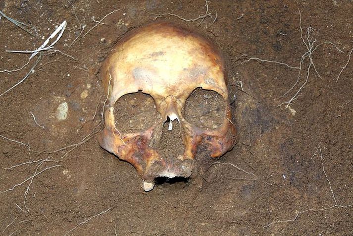 Merkar fornminjar fundust í uppgreftri á Steinsstöðum í Tungusveit sumarið 2008, sem leiddu í ljós grafreit þar sem kristnir menn höfðu verið lagðir til hinstu hvílu. Engar ritaðar heimildir eru um kirkju þarna.