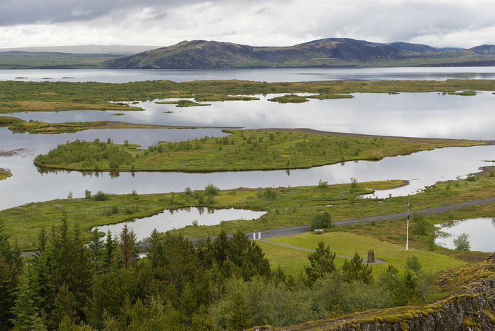 Þingvallavatn, til forna kallað Ölfusvatn, er stærsta náttúrulega stöðuvatn Íslands og er 83,7 km² að flatarmáli. Í Þingvallavatni eru tvær megineyjar, Sandey og Nesjaey og milli þeirra er Heiðarbæjarhólmi. Við norðanvert vatnið eru Þingvellir, suðaustan af því er Úlfljótsvatn.