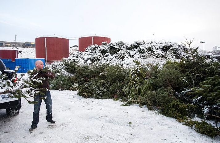 Reykvíkingar verða sjálfir að koma jólatrjám sínum í Sorpu.
