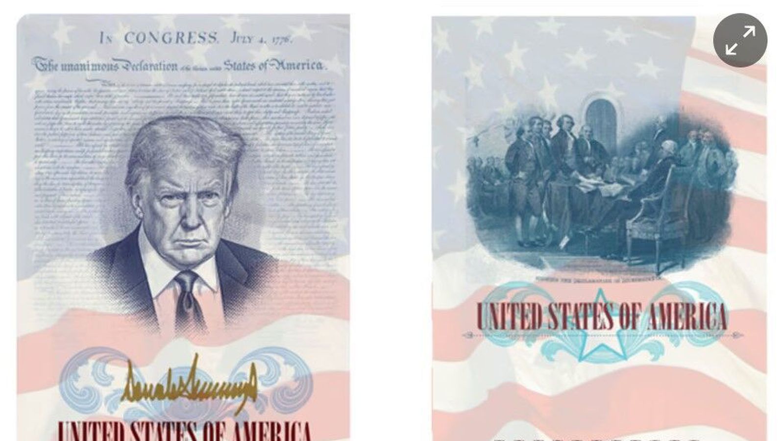 Á­sýnd Trump mun prýða við­hafnar­út­gáfu vegabréfsins