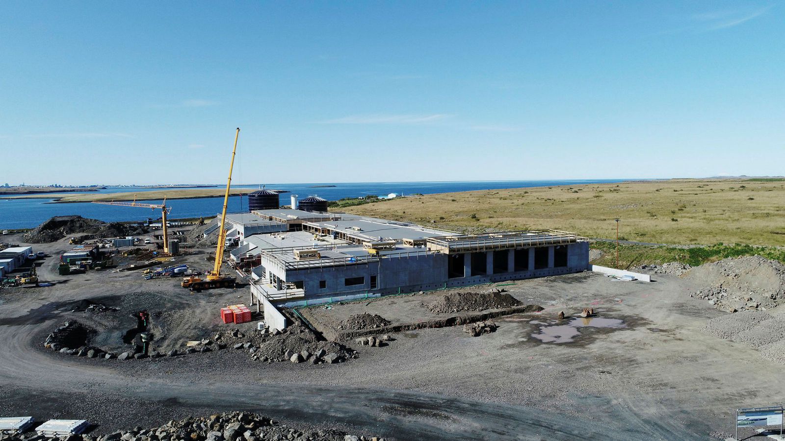 Moltugerð í Gaju stöðvuð tímabundið vegna myglu - Vísir