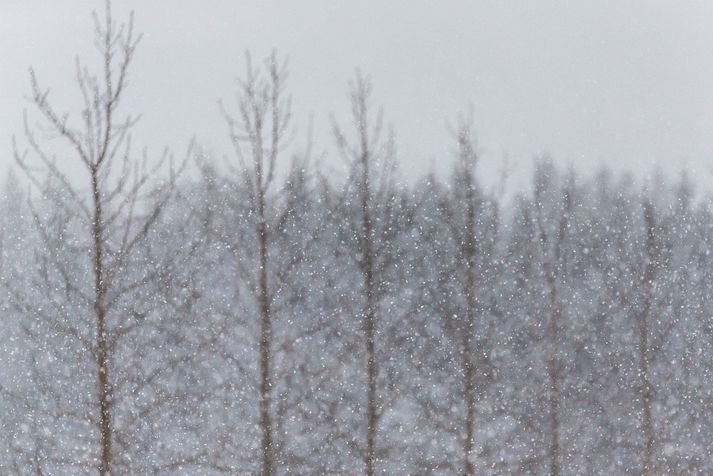 Það verður víða kalt í dag.