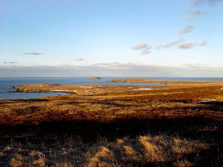 Þreifingar eru í gangi með að reisa álver á Bakka við Tjörnes