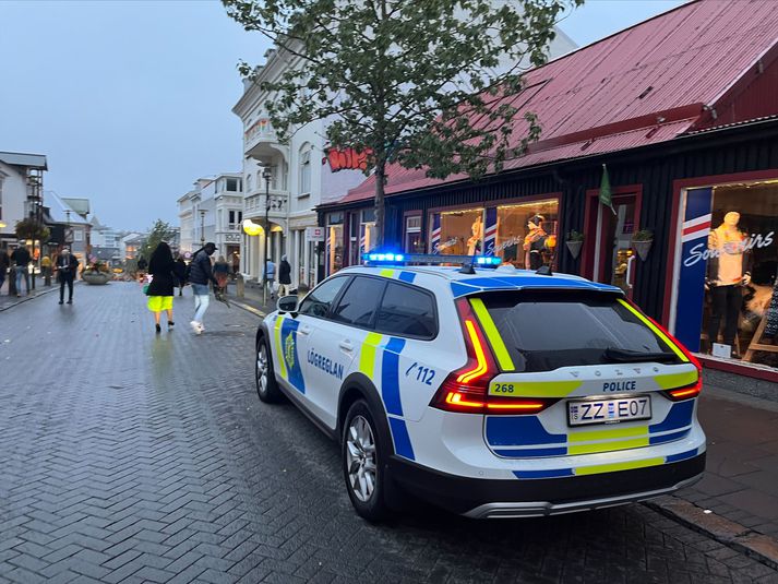 Ýmislegt kemur fram í dagbók lögreglunnar á höfuðborgarsvæðinu í dag.